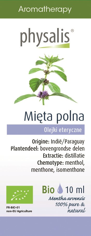 OLEJEK ETERYCZNY MIĘTA POLNA BIO 10 ml - PHYSALIS - obrazek 2