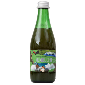 KOMBUCHA HEALTHY SENCHA BIO 330 ml – KOMBUCHA BY LAURENT (PRODUKT SEZONOWY)