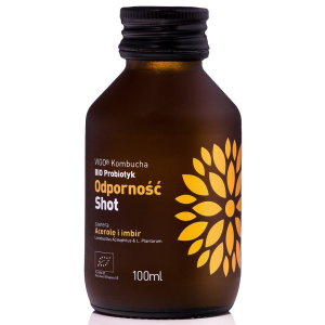 SHOT KOMBUCHA PROBIOTYK ODPORNOŚĆ BEZGLUTENOWY BIO 100 ml – VIGO