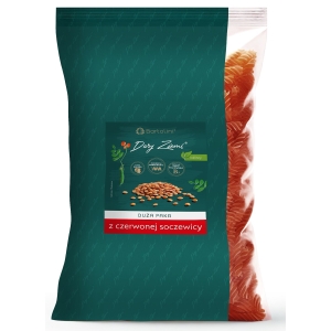 MAKARON PROTEINOWY (Z SOCZEWICY CZERWONEJ) ŚWIDERKI 1 kg – BARTOLINI