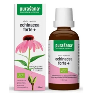 JEŻÓWKA PURPUROWA (ECHINACEA FORTE) KROPLE BIO 50 ml – PURASANA