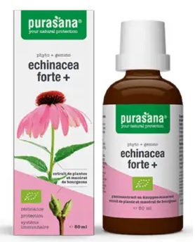JEŻÓWKA PURPUROWA (ECHINACEA FORTE) KROPLE BIO 50 ml – PURASANA JEŻÓWKA PURPUROWA (ECHINACEA FORTE) KROPLE BIO 50 ml – PURASANA