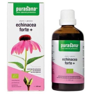 JEŻÓWKA PURPUROWA (ECHINACEA FORTE) KROPLE BIO 100 ml – PURASANA