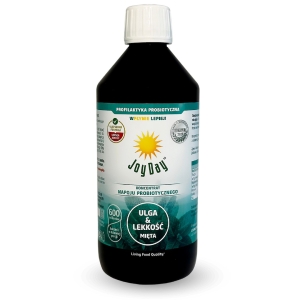KONCENTRAT NAPOJU PROBIOTYCZNEGO MIĘTA BEZGLUTENOWY BIO 500 ml – JOY DAY