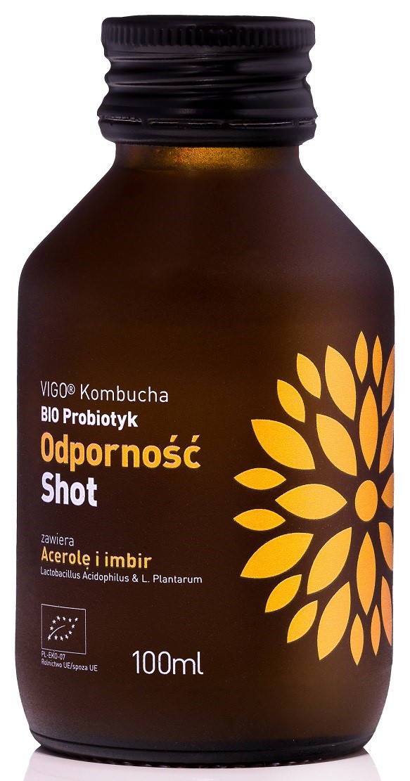 SHOT KOMBUCHA PROBIOTYK ODPORNOŚĆ BEZGLUTENOWY BIO 100 ml – VIGO SHOT KOMBUCHA PROBIOTYK ODPORNOŚĆ BEZGLUTENOWY BIO 100 ml – VIGO