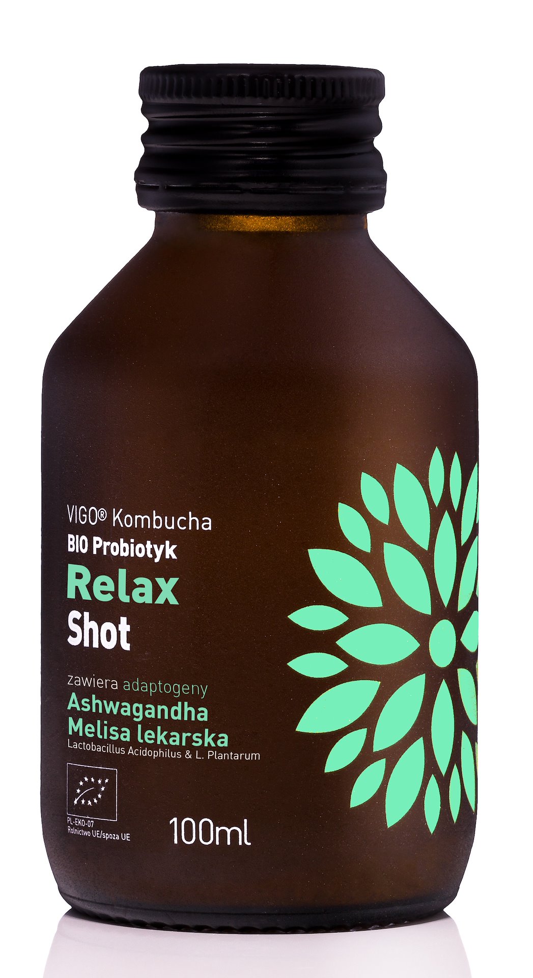 SHOT KOMBUCHA PROBIOTYK RELAX BEZGLUTENOWY BIO 100 ml – VIGO SHOT KOMBUCHA PROBIOTYK RELAX BEZGLUTENOWY BIO 100 ml – VIGO