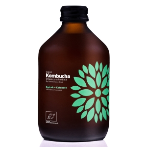 KOMBUCHA Z OGÓRKIEM I KOLENDRĄ BEZGLUTENOWA BIO 330 ml – VIGO