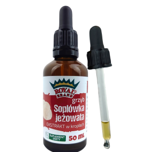 GRZYBY SOPLÓWKA JEŻOWATA (LION’S MANE) EKSTRAKT W KROPLACH 50 ml – ROYAL BRAND